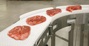 Food Processing Conveyor