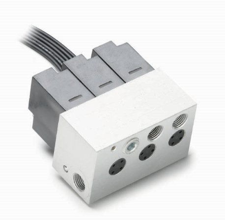 Humphrey_-_Foot_Limb