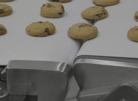 DornerFoodProcessingCookie